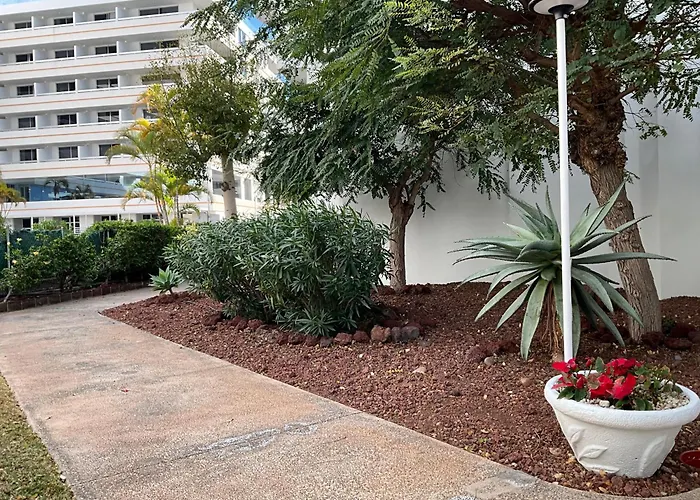 Dream Americas Iconic Pearl